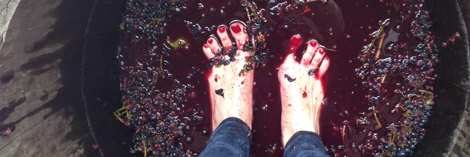 alexLtrimble's profile banner image