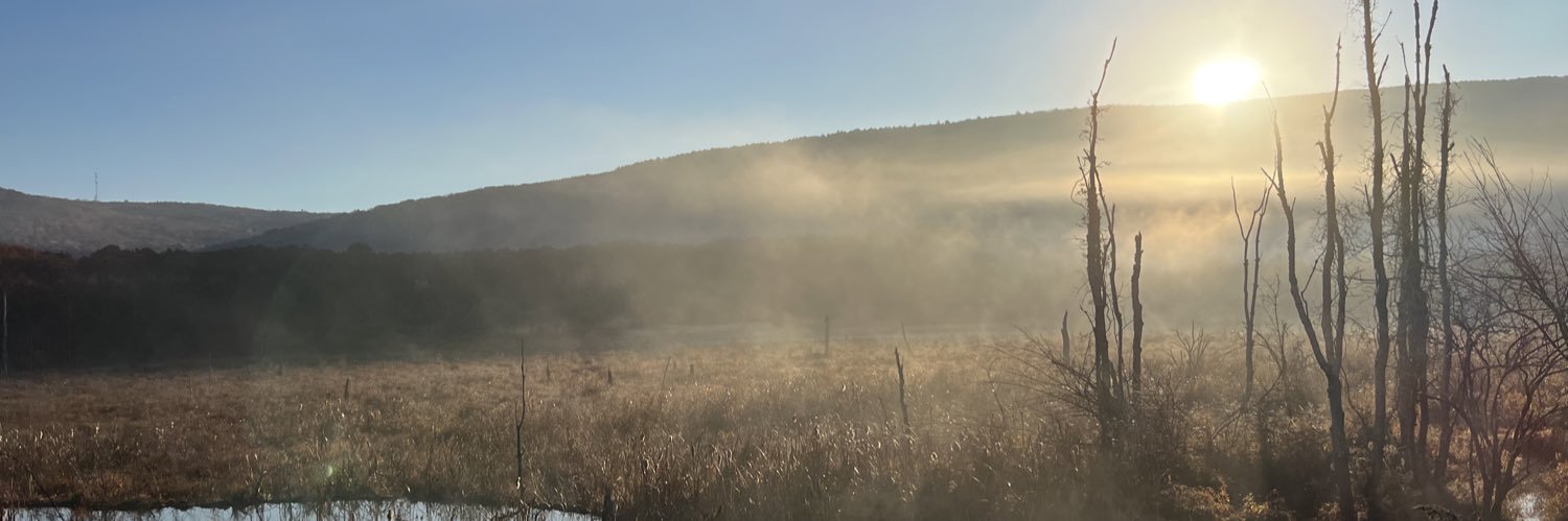 JimDolan15's profile banner image