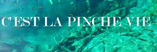 Mina_Cabrera's profile banner image
