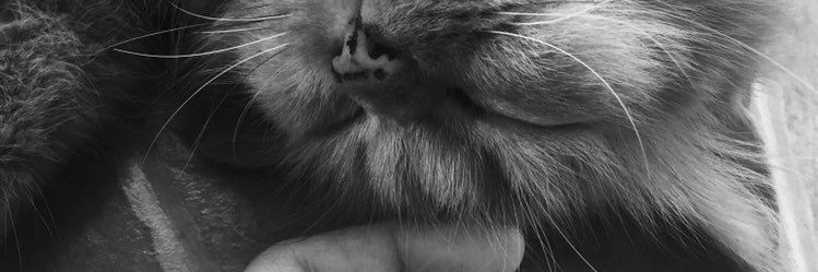 Idaptyy's profile banner image