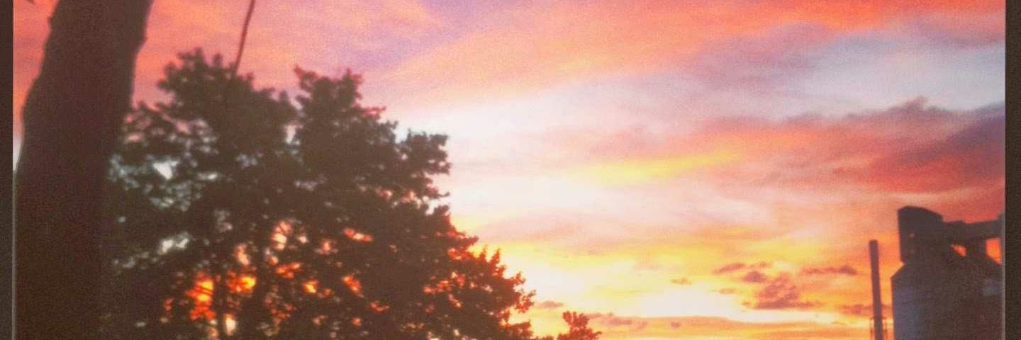 marieharrell514's profile banner image