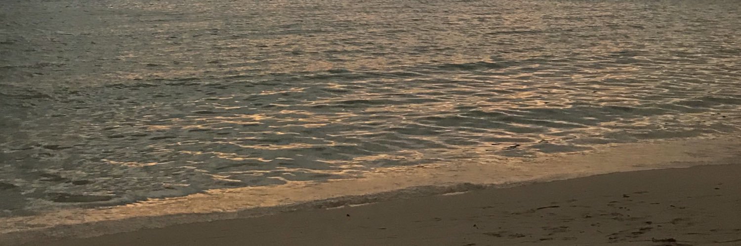 fnssnf_'s profile banner image