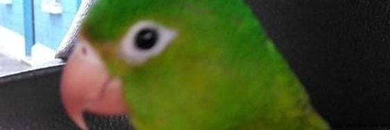 bathwater_69's profile banner image