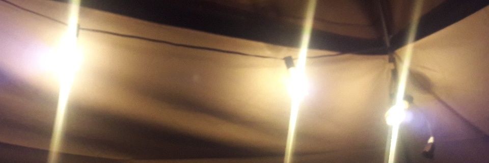 JTGreen98's profile banner image