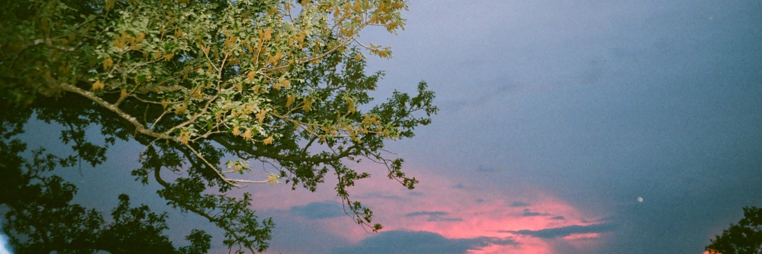 rlietrom's profile banner image