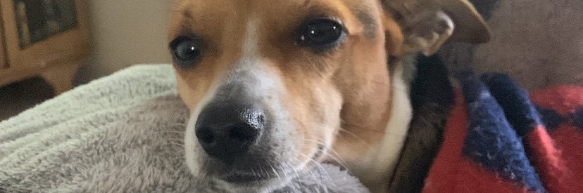 Henrigustav's profile banner image