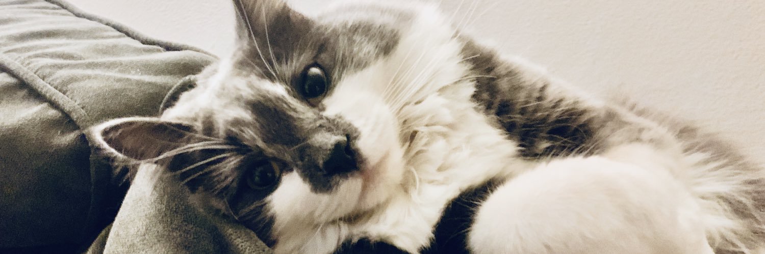 caaass's profile banner image