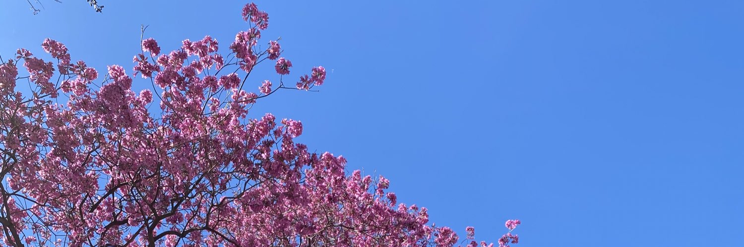 SDellaferrera's profile banner image
