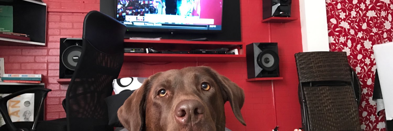 FedePrincich's profile banner image