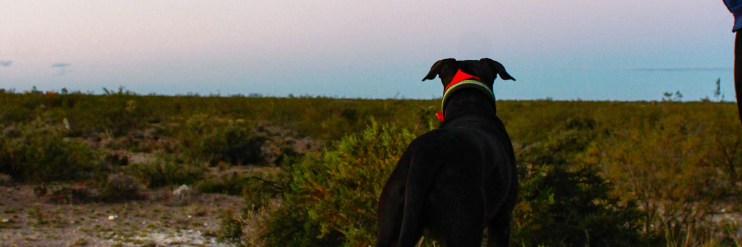 florgroc's profile banner image