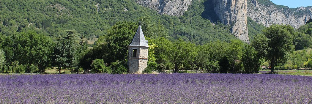 MSA Ardèche Drôme Loire banner