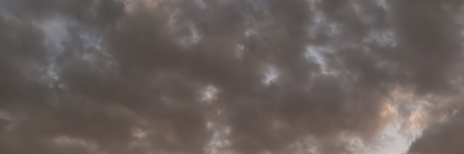 gabrielapissini's profile banner image