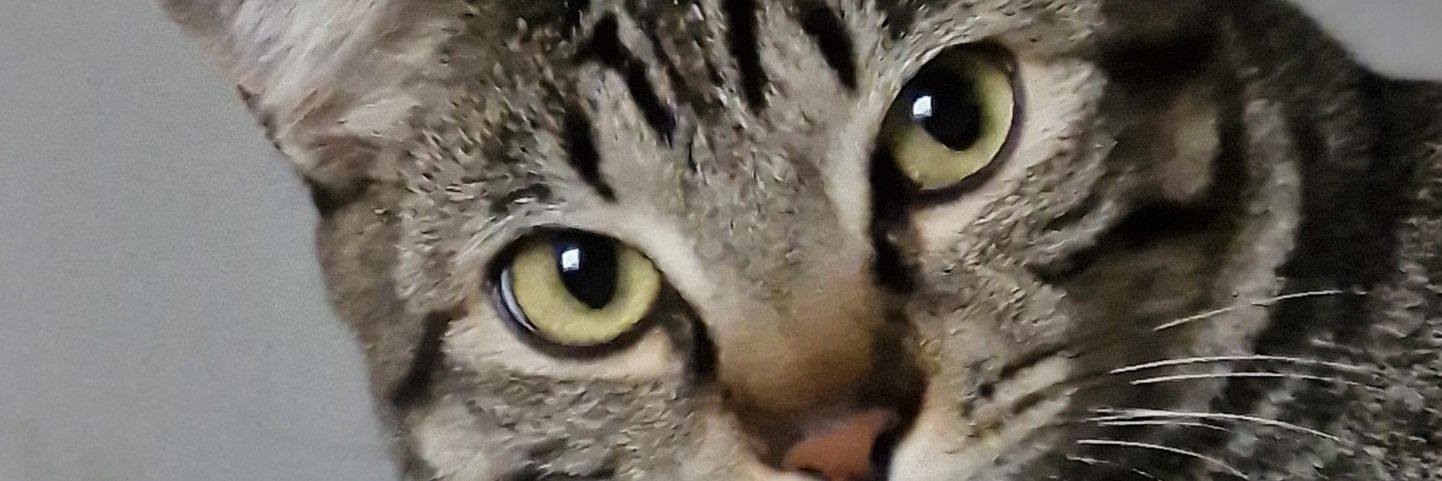 ublcxs's profile banner image