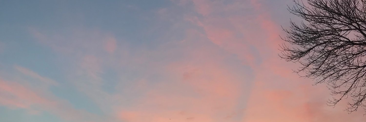rosarian's profile banner image