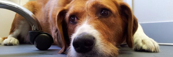 imran_the_umar Profile Banner