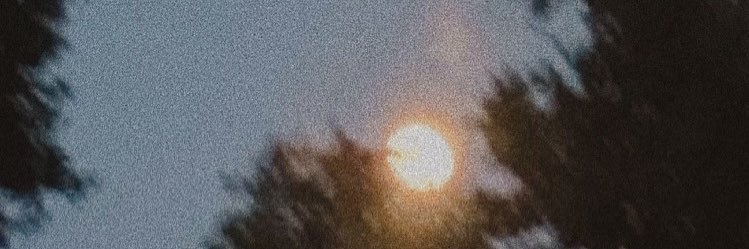 ellenfordd's profile banner image