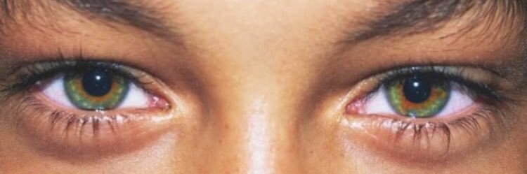 danielpascual_'s profile banner image