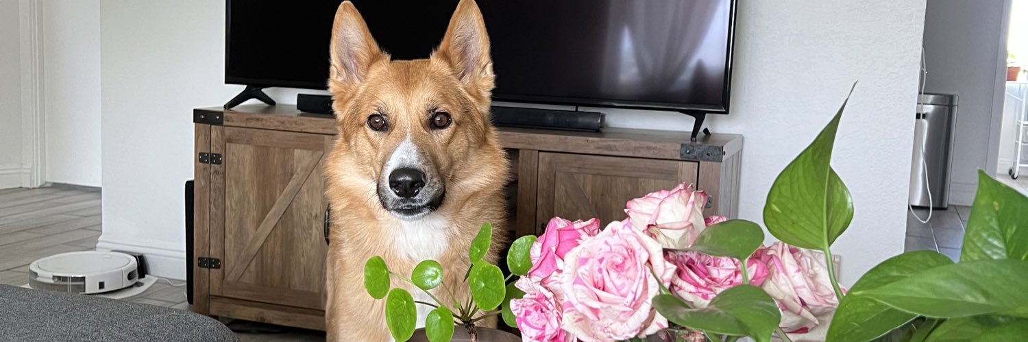 daaisies_'s profile banner image