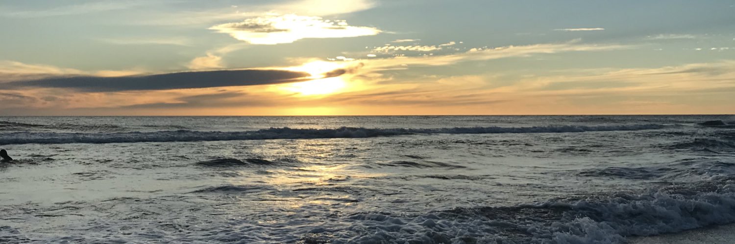 renatagisel's profile banner image