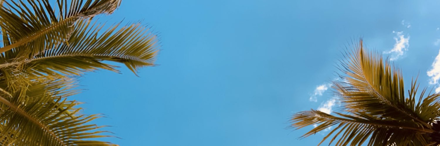 Simonort_'s profile banner image