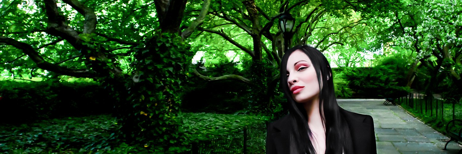 tregallery's profile banner image