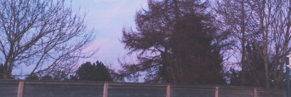 wasteyrselff's profile banner image