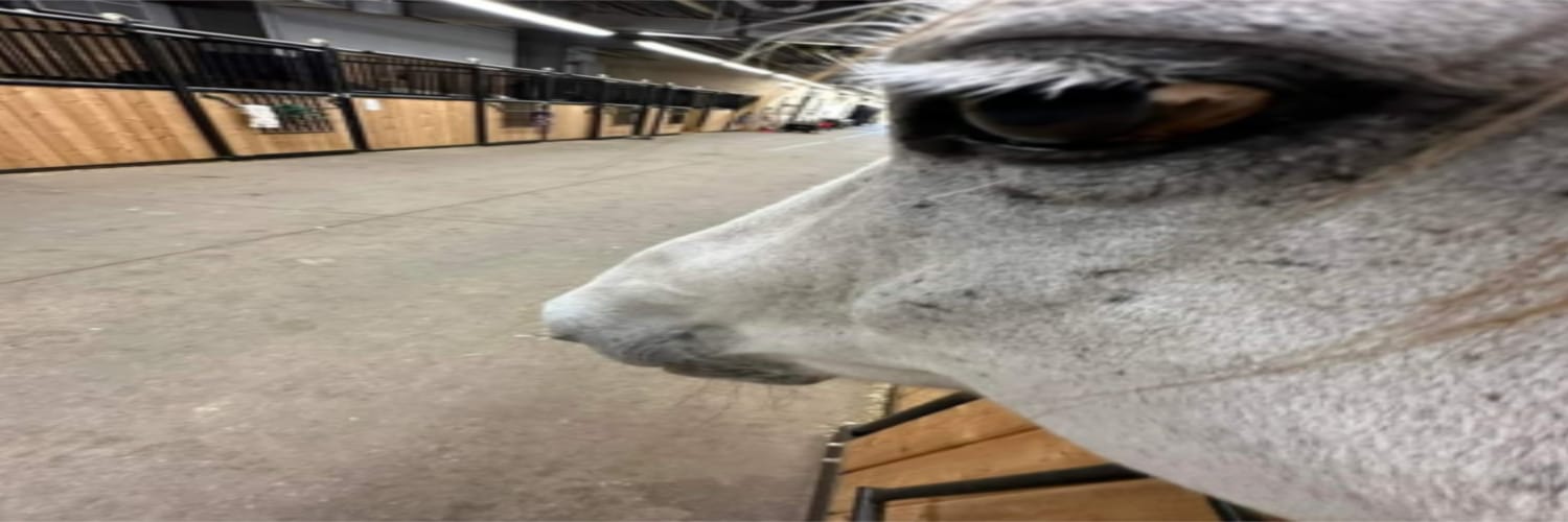 tylerrrdo's profile banner image