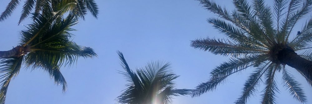 toripippen's profile banner image