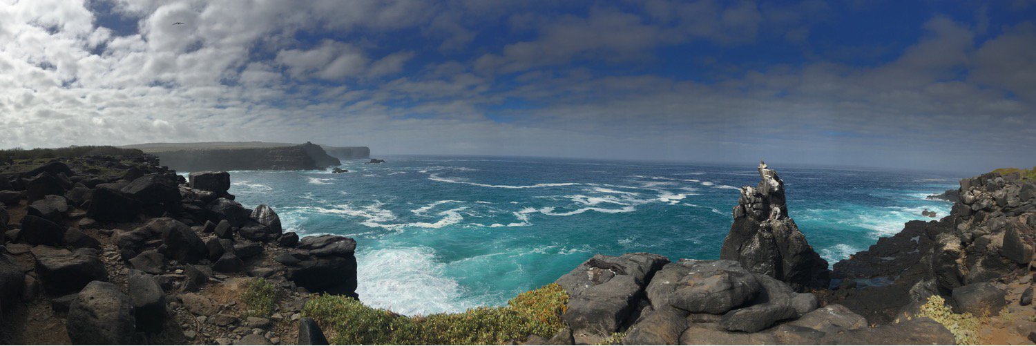 Katherine Ferguson banner