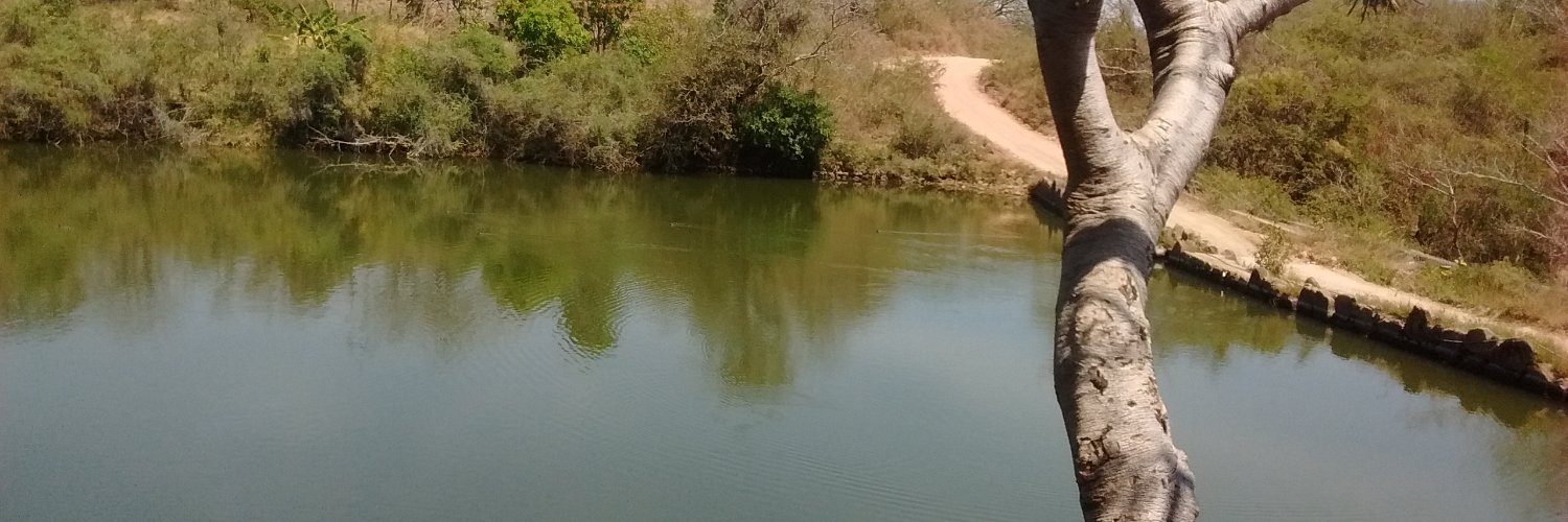 crodrig2's profile banner image