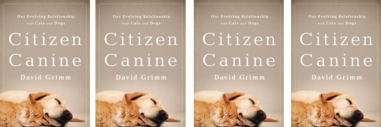 David_Grimm's profile banner image
