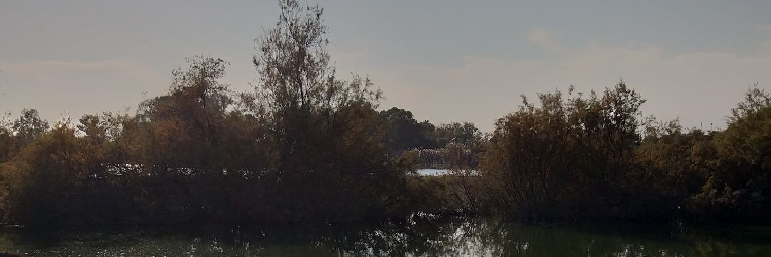 tourguideSinan's profile banner image