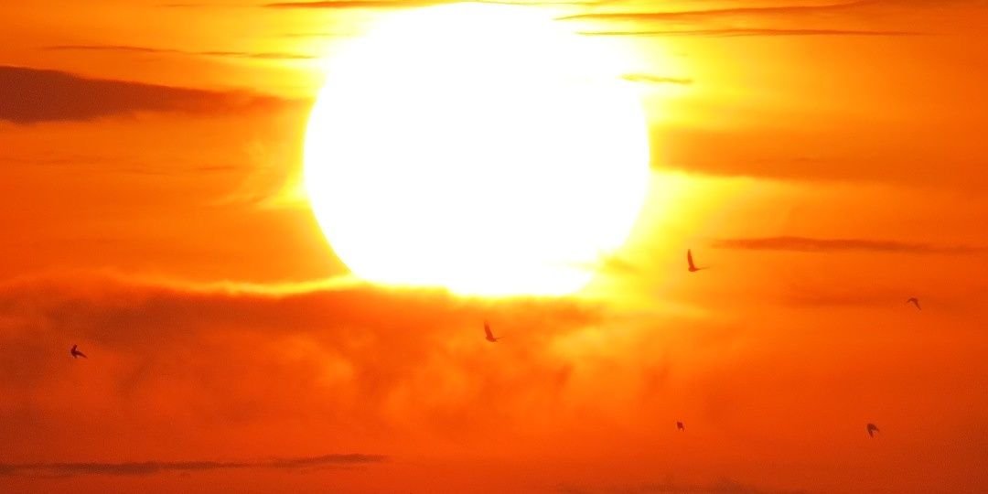 darsalca's profile banner image