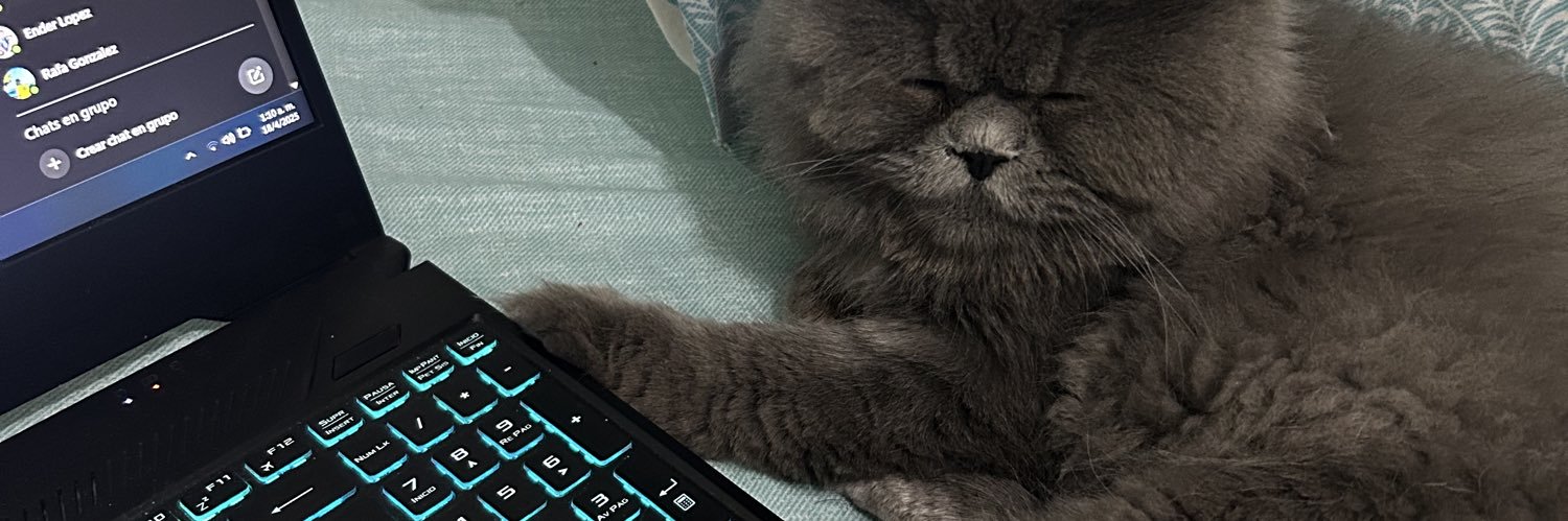 luispchnr's profile banner image