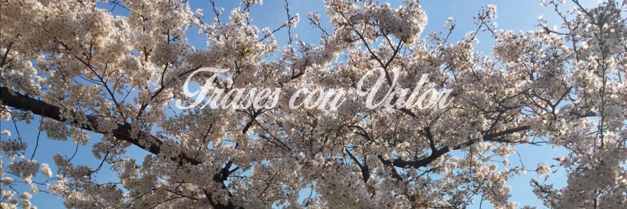 FrasesConValor's profile banner image