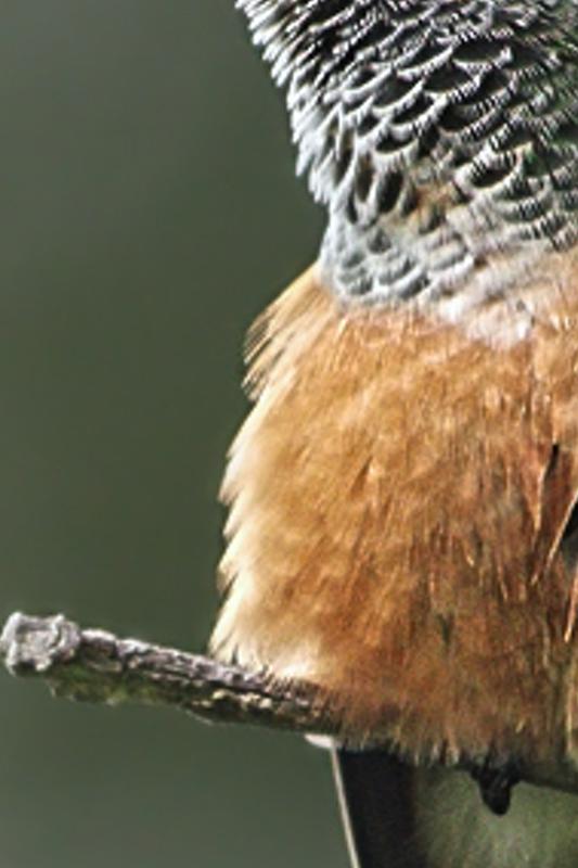 oumidrefrhe's profile banner image
