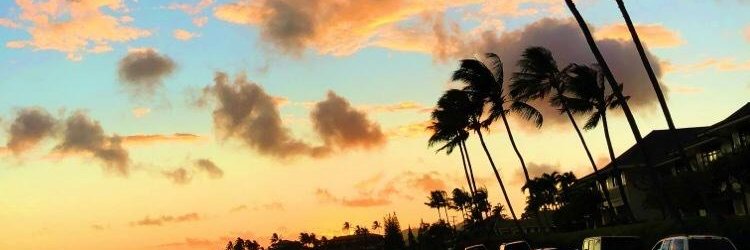 KateDailyLife19's profile banner image