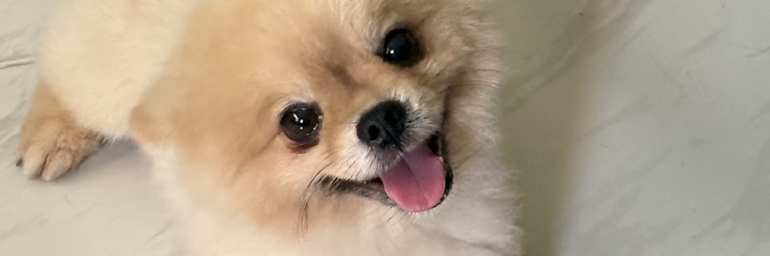 mrnnbrrm's profile banner image