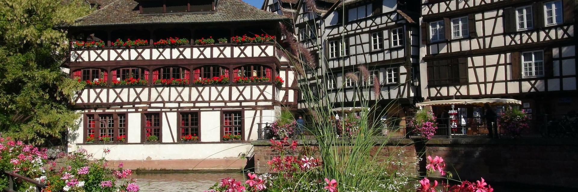 Alsace Gastronomie banner