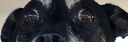 AJ Alkire banner