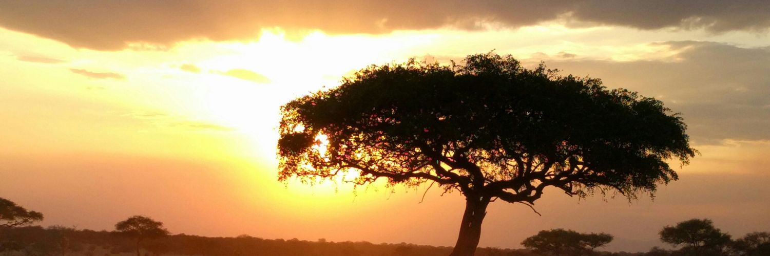 megpatel44's profile banner image