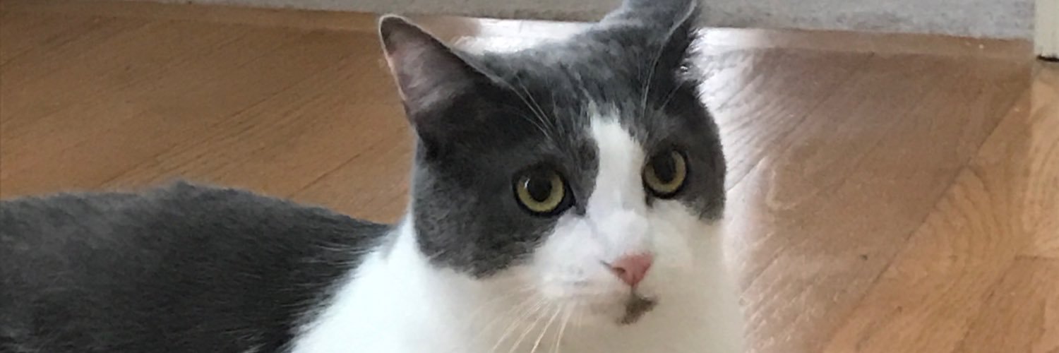 joooyceeeeee's profile banner image