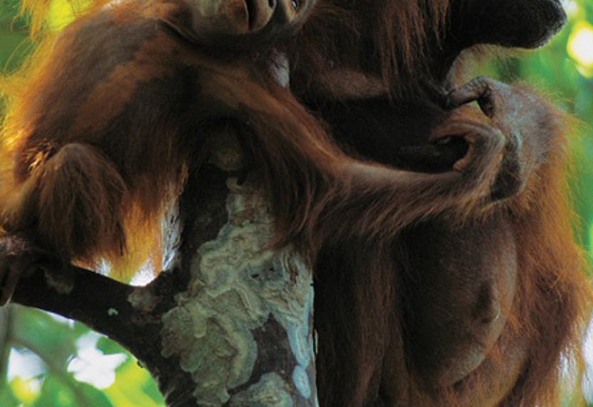sympoat's profile banner image