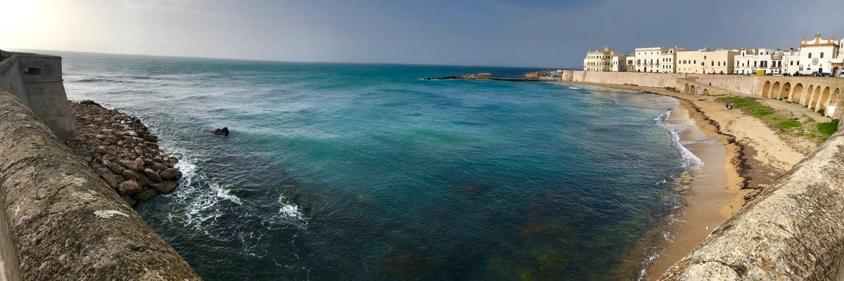 Vinicio Mosca MD banner