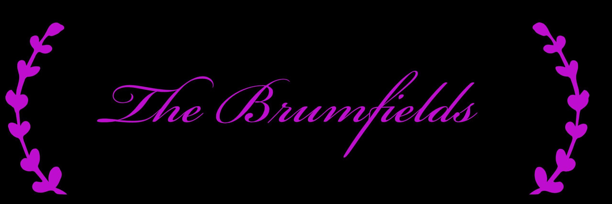 TheBrumfields's profile banner image