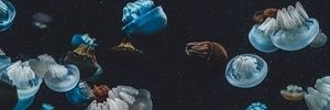 Takeshmode banner