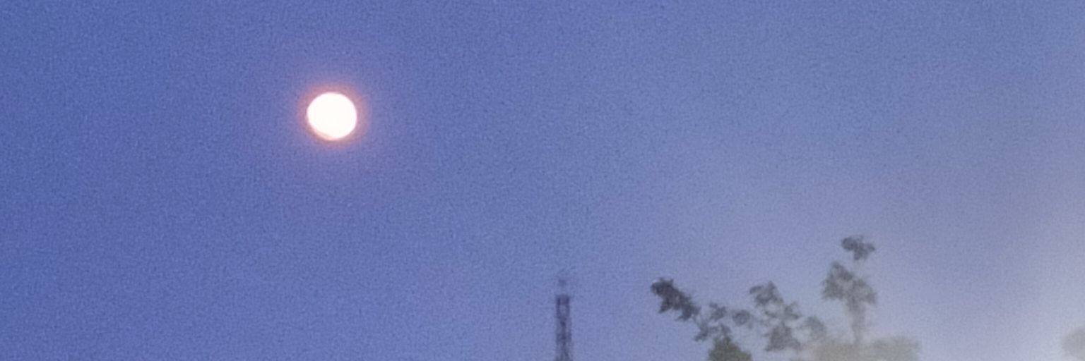 altalunalbr's profile banner image
