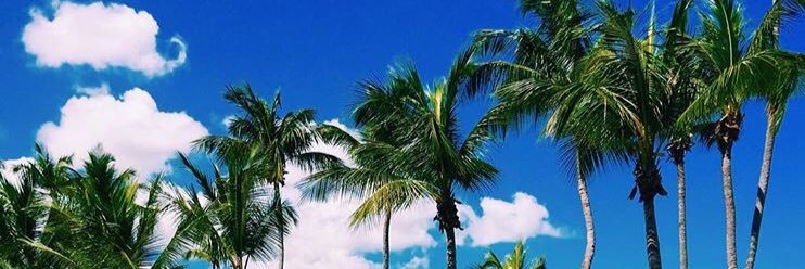 michaelacecile's profile banner image