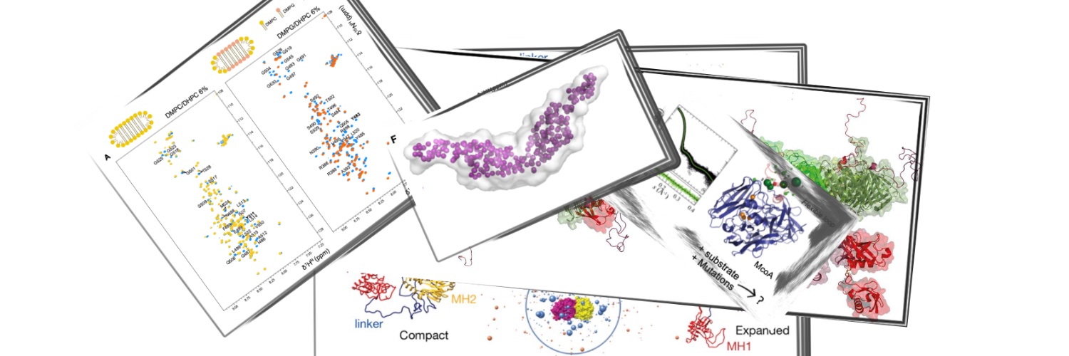 Tiago Cordeiro banner