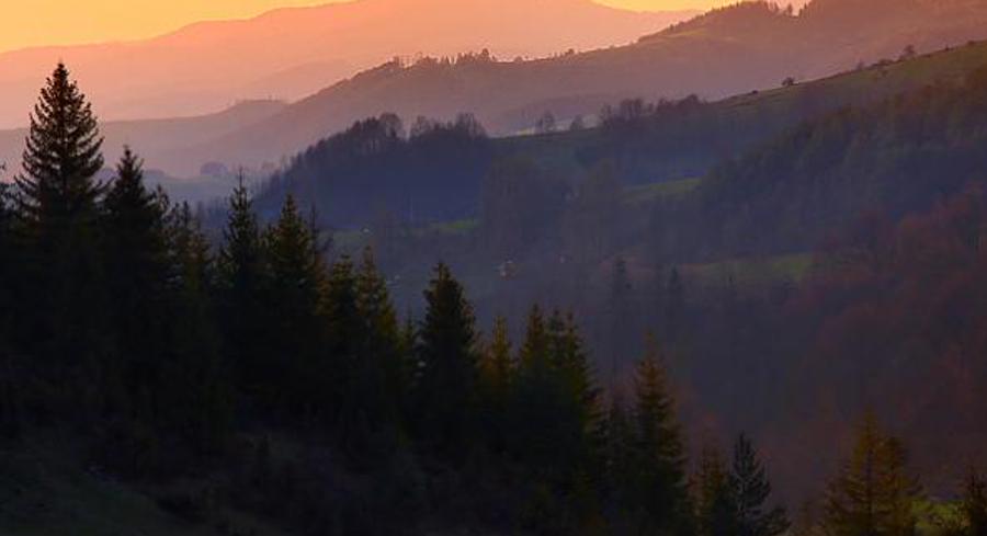stansidyo's profile banner image